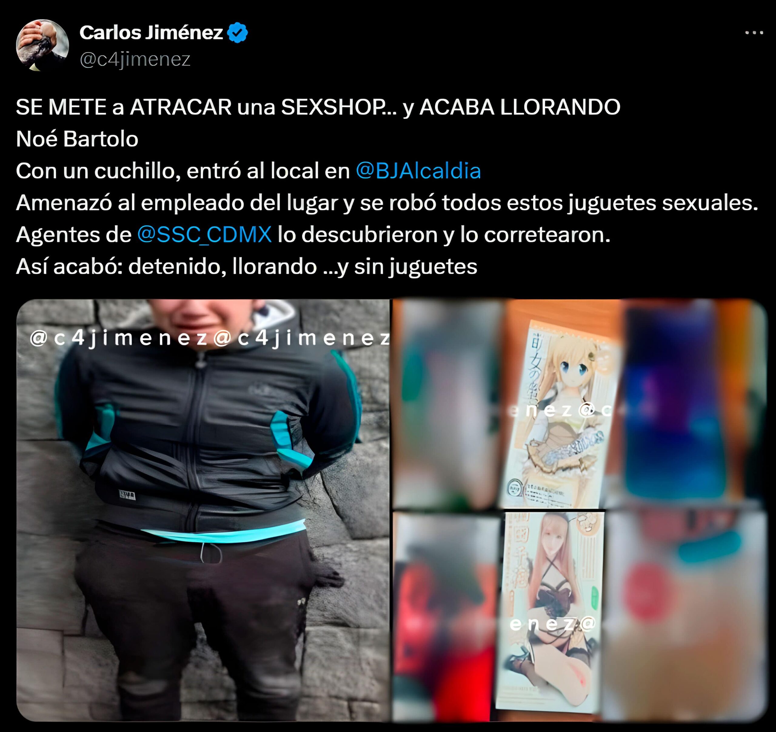 Otaku arrestado por robar juguetes para adultos en México